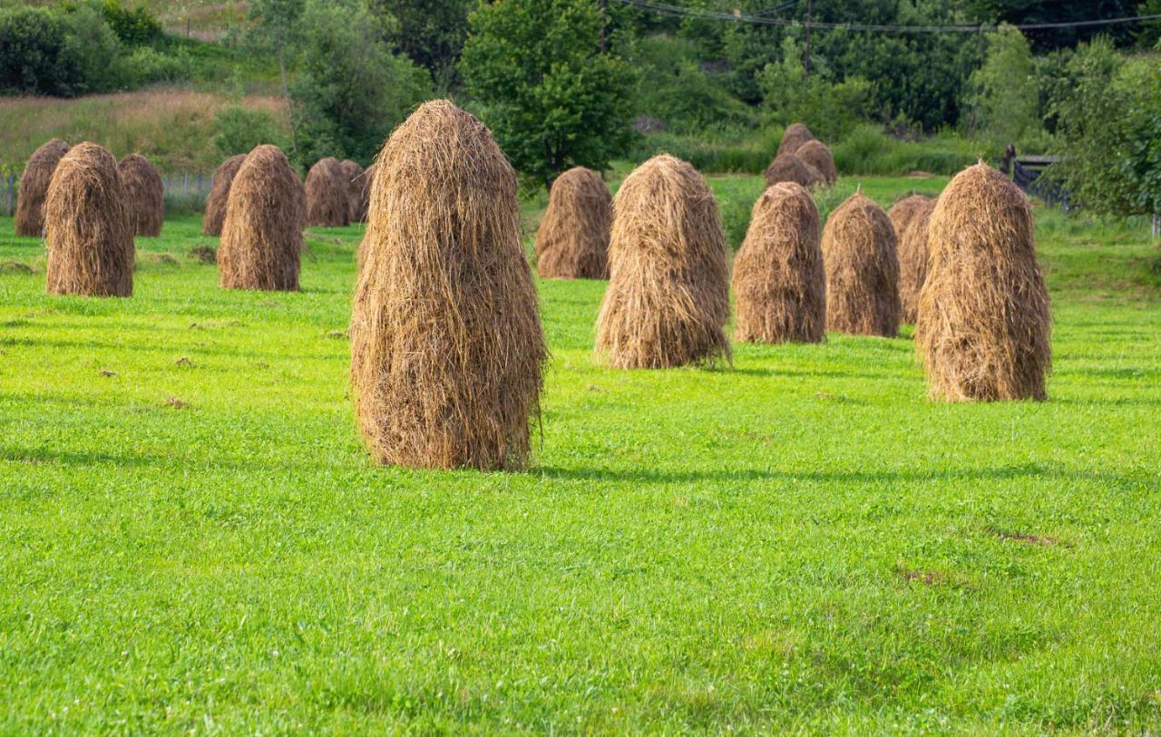 Casa De Vacanta Armi Molidu Экстерьер фото