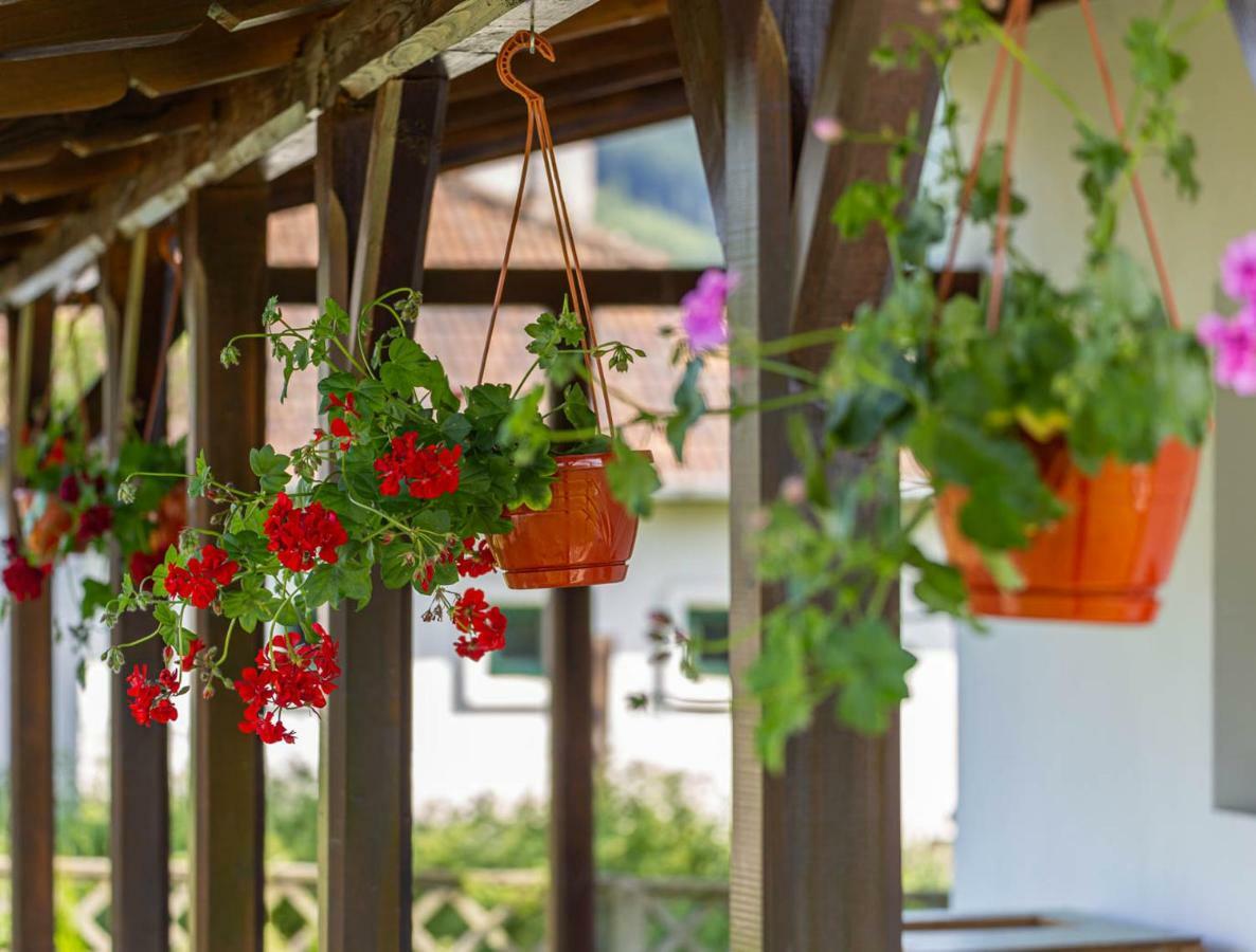Casa De Vacanta Armi Molidu Экстерьер фото