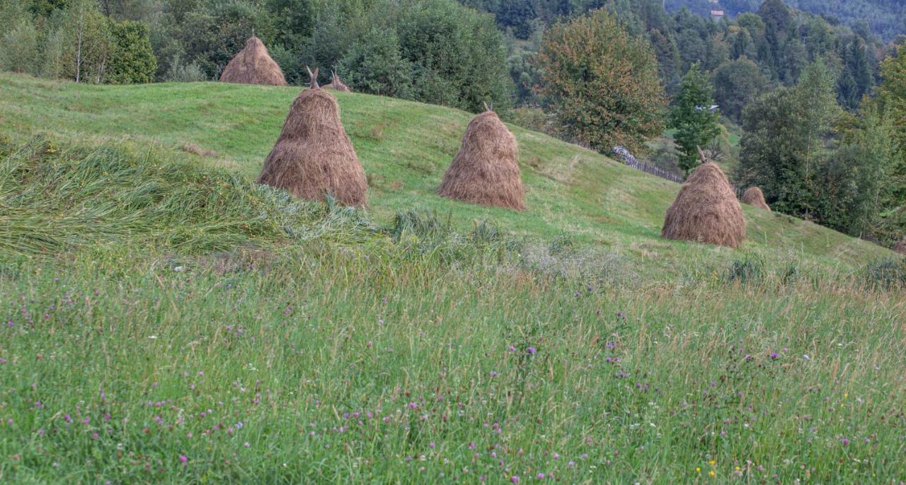Casa De Vacanta Armi Molidu Экстерьер фото